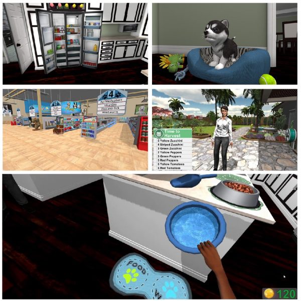 Realidad Virtual Saebo Doctor's Choice
