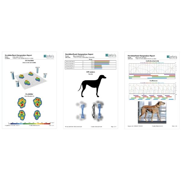 CanidGait: Innovador Sistema de Análisis de Marcha para Perros Doctor's Choice