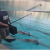 Ergoespirómetro en piscina Meta Swim Doctor's Choice